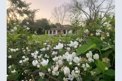 8414 County Road 3907, Athens, TX 75752 - Photo 1