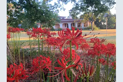 8414 County Road 3907, Athens, TX 75752 - Photo 39