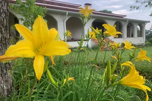 8414 Co Rd 3907, Athens, TX 75752 - Photo 37