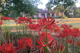 8414 Co Rd 3907, Athens, TX 75752 - Photo 39