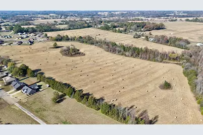 Tbd County Road 4200, Winnsboro, TX 75494 - Photo 1