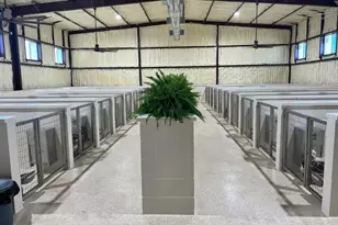 14981 W State Hwy 22, Blooming Grove, TX 76626 - Photo 39