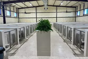 14981 W State Hwy 22, Blooming Grove, TX 76626 - Photo 37