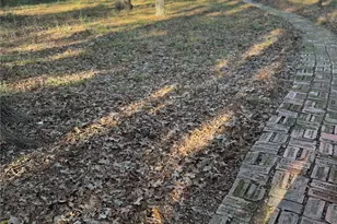 1533 Willow Dr, Wills Point, TX 75169 - Photo 11