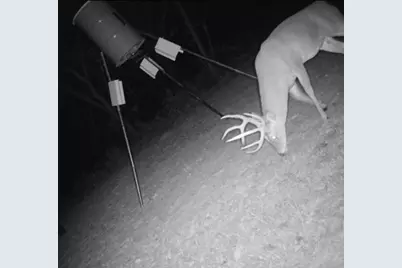 2011 County Road 1590, Alvord, TX 76225 - Photo 39