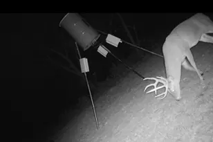 2011 Co Rd 1590, Alvord, TX 76225 - Photo 39