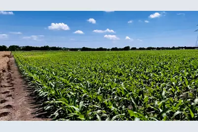 9775 County Road 505, Alvarado, TX 76009 - Photo 5