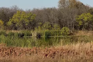 4040 Twinleaf Dr, Crowley, TX 76036 - Photo 21