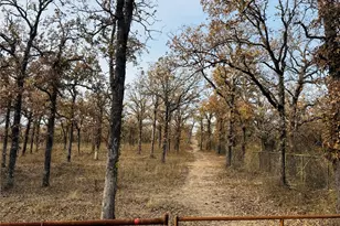 800 Private Rd 1485, Hico, TX 76457 - Photo 21