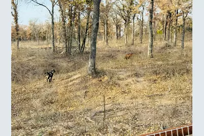 800 Private Road 1485, Hico, TX 76457 - Photo 23