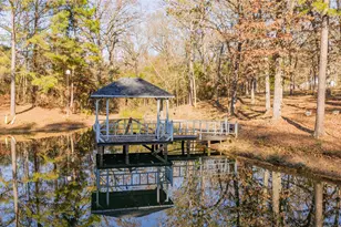 3199 Farm Rd 2723, Mount Vernon, TX 75457 - Photo 9