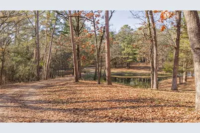 3199 Farm Road 2723, Mount Vernon, TX 75457 - Photo 11