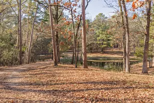 3199 Farm Rd 2723, Mount Vernon, TX 75457 - Photo 11