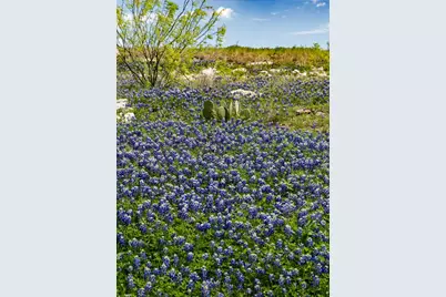 12741 Bella Roma Drive, Fort Worth, TX 76126 - Photo 37