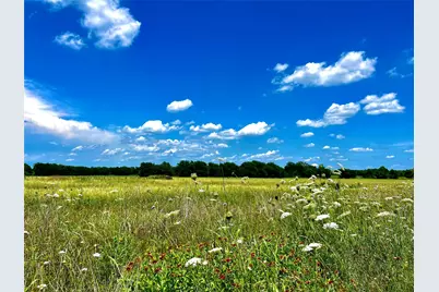 Lots 7, 8, & 9 Cr-590, Nevada, TX 75173 - Photo 1