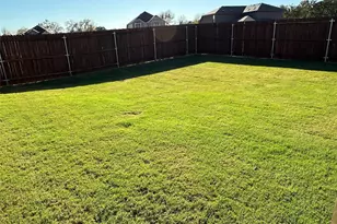 2009 Sesaro Dr, Aubrey, TX 76227 - Photo 23