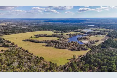 1040 County Road 3590 #Tract 4, Winnsboro, TX 75494 - Photo 5