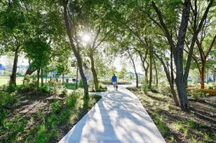 8473 Gerbera Daisy Rd, Frisco, TX 75035 - Photo 39