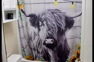 18200 State Hwy 6, Dublin, TX 76446 - Photo 17