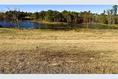 Lot 64 Pat Road, Gladewater, TX 75647 - Photo 5