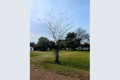 Tbd Oak Ridge Road, Mabank, TX 75156 - Photo 5