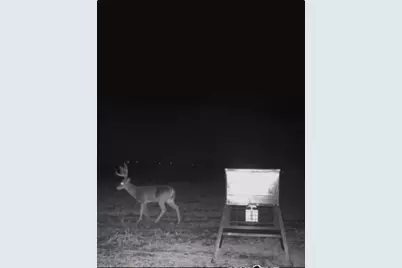 Tract 1, Tbd Fm 2114, Abbott, TX 76621 - Photo 7