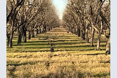 3140 E Landings S, Granbury, TX 76049 - Photo 3