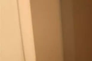 1731 Buena Vista St, Mesquite, TX 75149 - Photo 5