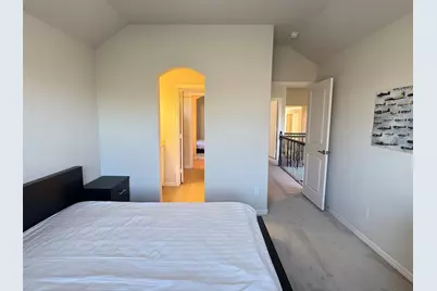 2405 Bigleaf Court, Plano, TX 75074 - Photo 23