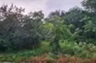 839 E Aquarius Ct, Granbury, TX 76049 - Photo 1