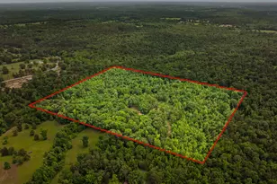 351 Private Rd 8572, Winnsboro, TX 75494 - Photo 39