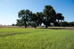 2160 Co Rd 4371, Decatur, TX 76234 - Photo 1