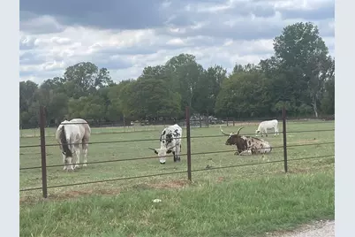 2160 County Road 4371, Decatur, TX 76234 - Photo 19