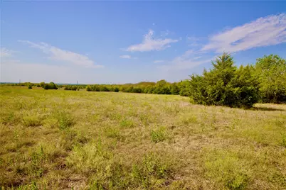 Tract 1 County Road 2935, Dodd City, TX 75438 - Photo 1