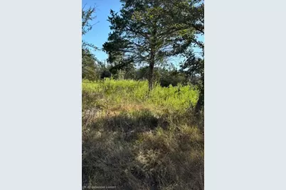 Tbd NW County Road 3112, Purdon, TX 76679 - Photo 3