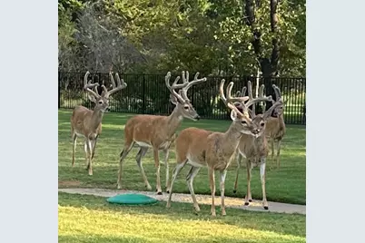 7545 Colton Lane, Pilot Point, TX 76258 - Photo 3