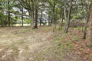 221 Private Rd 8807, Ben Wheeler, TX 75754 - Photo 21
