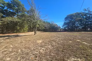 221 Private Rd 8807, Ben Wheeler, TX 75754 - Photo 5