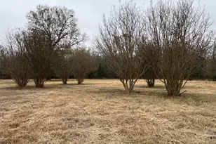 3771 County Rd 44800, Detroit, TX 75436 - Photo 25