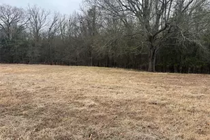 3771 County Rd 44800, Detroit, TX 75436 - Photo 29