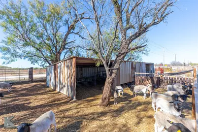 673 County Road 612, Trent, TX 79561 - Photo 35