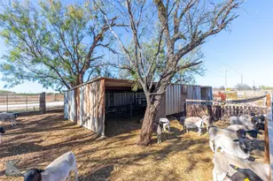 673 Co Rd 612, Trent, TX 79561 - Photo 35