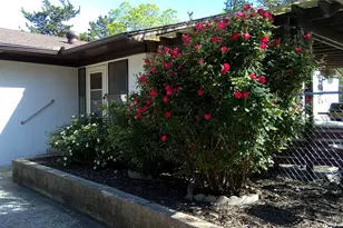 424 Ridgeview Rd, Sherman, TX 75092 - Photo 7