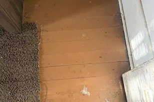 505 N 5th St, Corsicana, TX 75110 - Photo 13