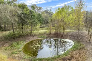 10218 Co Rd 313, Terrell, TX 75161 - Photo 11