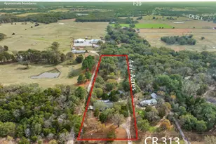 10218 Co Rd 313, Terrell, TX 75161 - Photo 7