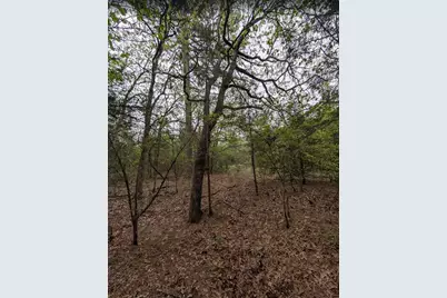 7229 Cr 4837, LaRue, TX 75770 - Photo 5