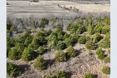 1300 Fm 2675, Enloe, TX 75432 - Photo 3