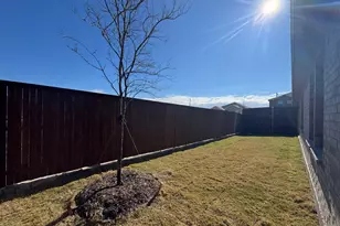 3905 Turquoise Ave, Celina, TX 75009 - Photo 15