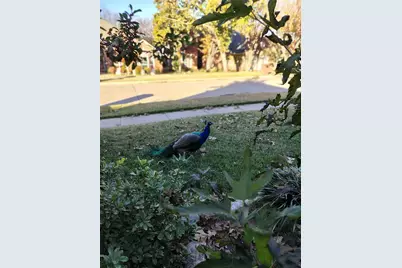 2002 Brianna Lane, Arlington, TX 76001 - Photo 7